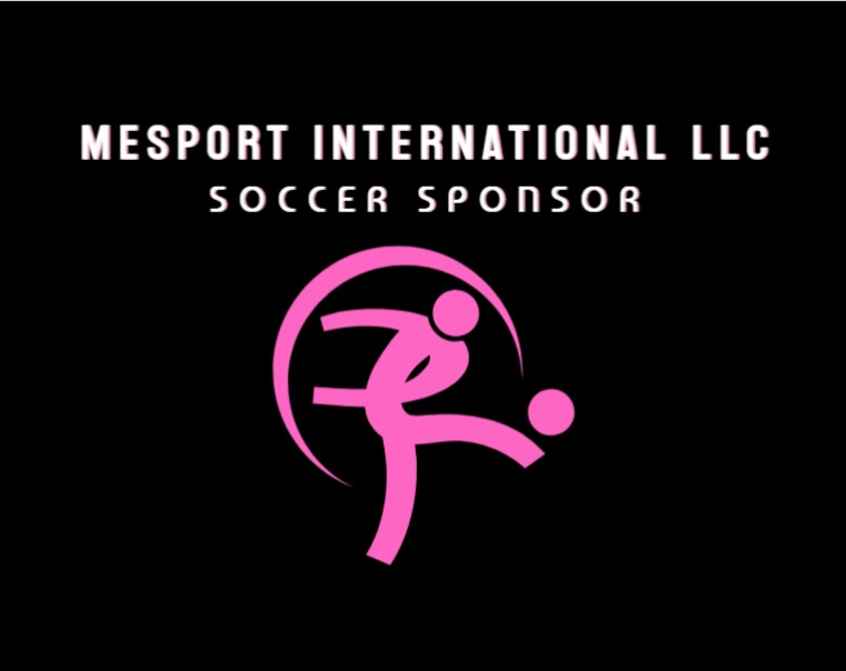 Mesport International LLC